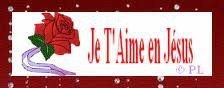 Déclaration d'amour secrète 